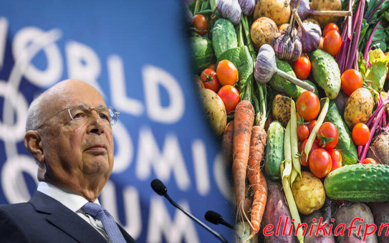 Το Παγκόσμιο Οικονομικό Φόρουμ (WEF) ζητά την απαγόρευση των τροφίμων που καλλιεργούμε στον κήπο του σπιτιού μας…για να σταματήσει η «Υπερθέρμανση του Πλανήτη». Θυμάστε τι είχε γίνει στην Κρήτη…;