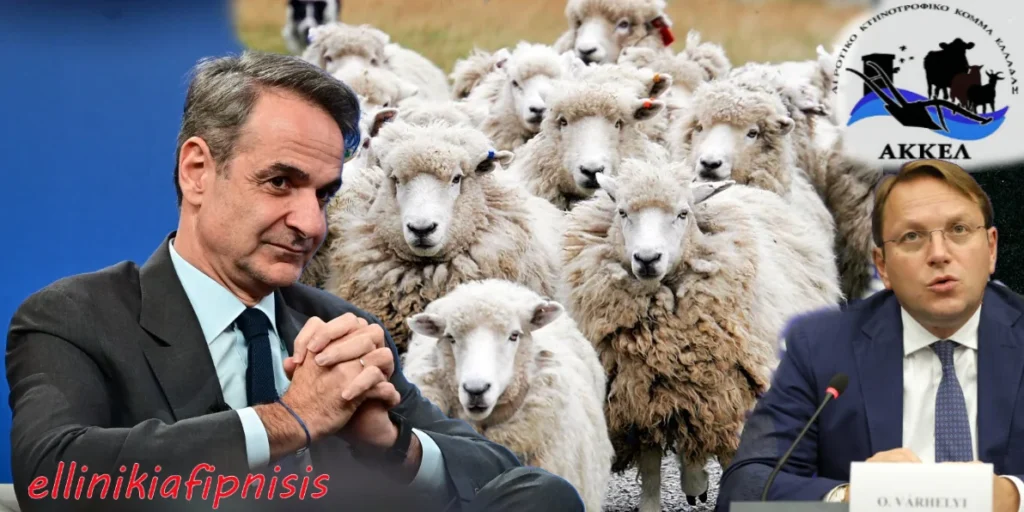 Αποκάλυψη βόμβα του ΑΚΚΕΛ για τη θανάτωση χιλιάδων αιγοπροβάτων με απόφαση της κυβέρνησης Μητσοτάκη: «ΔΕΝ επιβάλλεται από την Ε.Ε. η υποχρεωτική θανάτωση. Η κυβέρνηση έλεγε ψέματα καταστρέφοντας τους Έλληνες κτηνοτρόφους»...