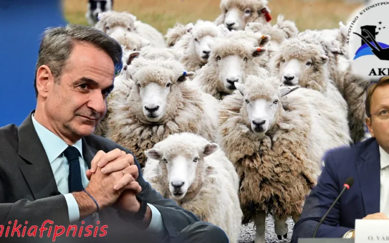 Αποκάλυψη βόμβα του ΑΚΚΕΛ για τη θανάτωση χιλιάδων αιγοπροβάτων με απόφαση της κυβέρνησης Μητσοτάκη: «ΔΕΝ επιβάλλεται από την Ε.Ε. η υποχρεωτική θανάτωση. Η κυβέρνηση έλεγε ψέματα καταστρέφοντας τους Έλληνες κτηνοτρόφους»…