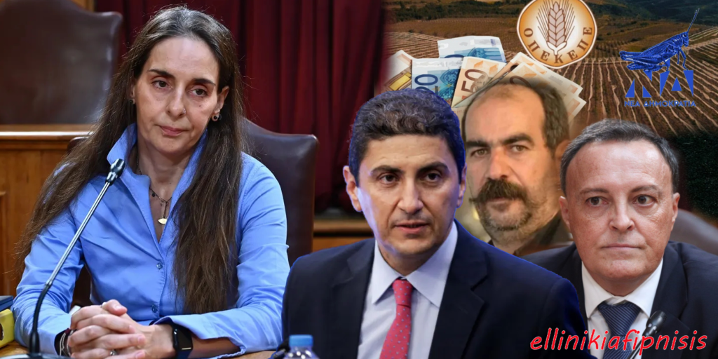 Σκάνδαλο ΟΠΕΚΕΠΕ - Βόμβες από Τυχεροπούλου στην εξεταστική: «Δέχθηκα αφόρητες πιέσεις και απειλές - Είναι κύκλωμα - Ο Αυγενάκης ήξερε τα πάντα» (Video)
