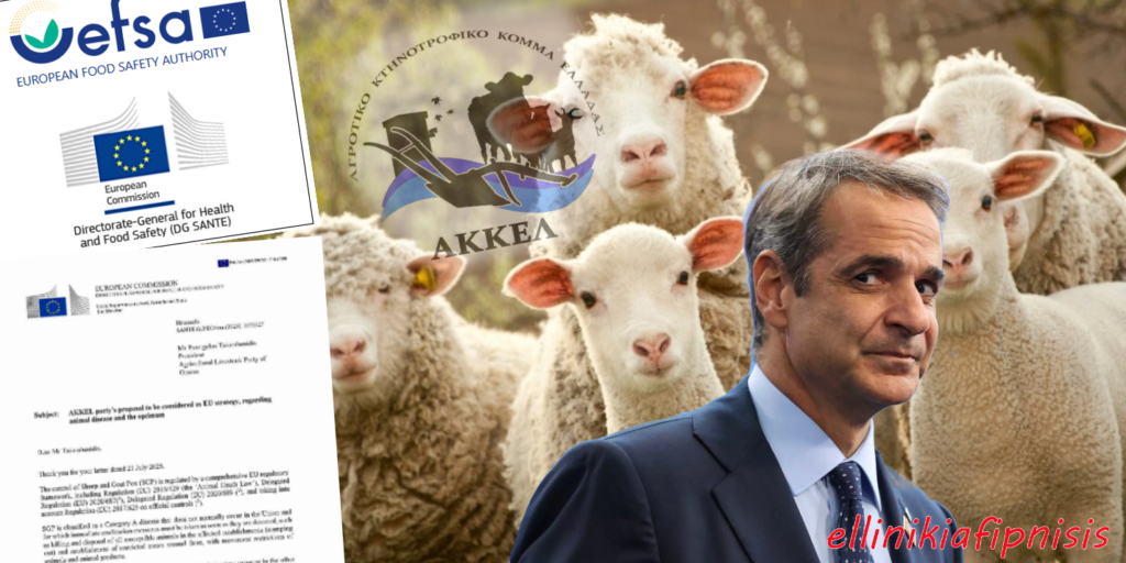 Η Ευρωπαϊκή Επιτροπή δικαιώνει το ΑΚΚΕΛ για την Ευλογιά των Αιγοπροβάτων και τους εμβολιασμούς. Η κυβέρνηση Μητσοτάκη δεν έχει πλέον καμία δικαιολογία για την απραξία και τη μαζική θανάτωση των ζώων - Τι αποκαλύπτει το έγγραφο της Επιτροπής DG SANTE...