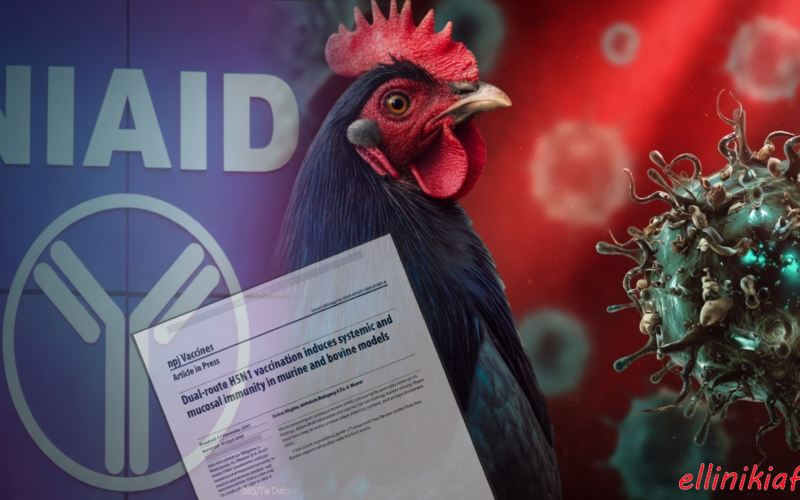 Επιστήμονες που χρηματοδοτούνται από την κυβέρνηση των ΗΠΑ δημιούργησαν χιμαιρικούς ιούς της γρίπης των πτηνών με 100% θνητότητα στα θηλαστικά, σύμφωνα με έκθεση του Περιοδικού «npj Vaccines»…! Τι επιδιώκουν…;