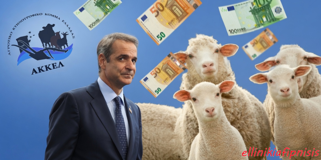 Νέο σκάνδαλο 310.000 ευρώ για πλατφόρμα εμβολιασμών κατά της ευλογιάς των αιγοπροβάτων, που δεν έγιναν ποτέ, καταγγέλλει το ΑΚΚΕΛ...