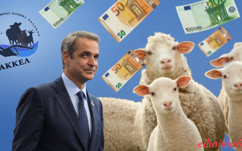 Νέο σκάνδαλο 310.000 ευρώ για πλατφόρμα εμβολιασμών κατά της ευλογιάς των αιγοπροβάτων, που δεν έγιναν ποτέ, καταγγέλλει το ΑΚΚΕΛ…