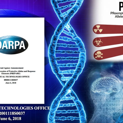 Το έργο «PREPARE» της DARPA του 2018 επεδίωξε να επαναπρογραμματίσει γονιδιακά το ανθρώπινο σώμα, χρησιμοποιώντας τις πανδημικές, χημικές και ραδιολογικές απειλές ως δικαιολογία. Υπάρχει πιθανότητα ο υποχρεωτικός εμβολιασμός της ανθρωπότητας στη πανδημία Covid-19 να έγινε στο πλαίσιο αυτού του προγράμματος…;