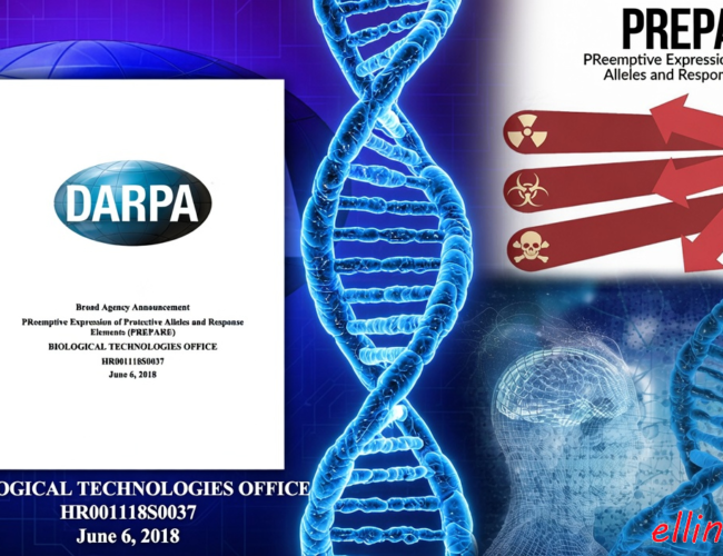 Το έργο «PREPARE» της DARPA του 2018 επεδίωξε να επαναπρογραμματίσει γονιδιακά το ανθρώπινο σώμα, χρησιμοποιώντας τις πανδημικές, χημικές και ραδιολογικές απειλές ως δικαιολογία. Υπάρχει πιθανότητα ο υποχρεωτικός εμβολιασμός της ανθρωπότητας στη πανδημία Covid-19 να έγινε στο πλαίσιο αυτού του προγράμματος…;